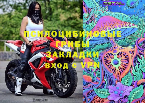 мдпв Арсеньев