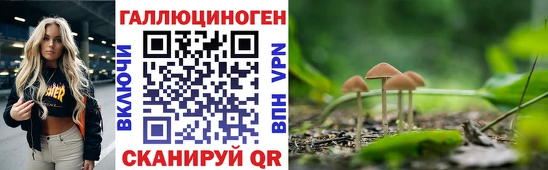 KRAKEN ТОР Выкса Псилоцибиновые грибы ЛСД
